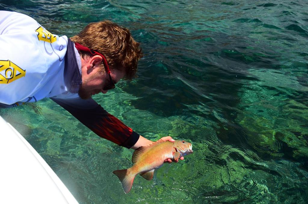 Lee releasing a little trout caught around an offshore reef edge.  It disappeared straight into that dark hole in the reef pictured. © Lee Brake
