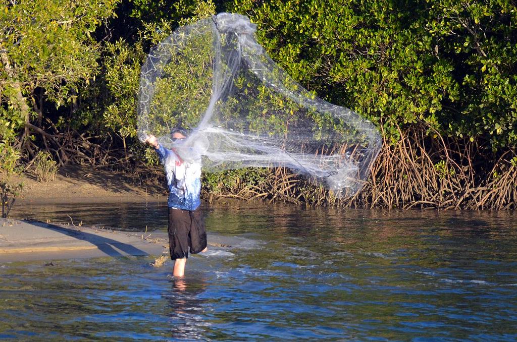 Mullet-mustering- How to cast a net
