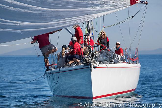 Winners on the day – Audacious. - 2015 PPWCS ©  Alex McKinnon Photography http://www.alexmckinnonphotography.com