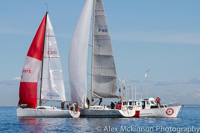 Making her eight and a bit tonnes felt – Dry White. - 2015 PPWCS ©  Alex McKinnon Photography http://www.alexmckinnonphotography.com