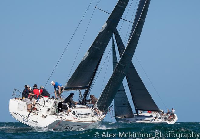 Niche goes to work chasing down bigger opposition. - 2014-15 Club Marine Series ©  Alex McKinnon Photography http://www.alexmckinnonphotography.com