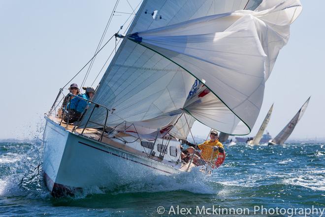 Even when you’re good, mistakes like a spinnaker coming out early can happen – Take Five. - 2014-15 Club Marine Series ©  Alex McKinnon Photography http://www.alexmckinnonphotography.com