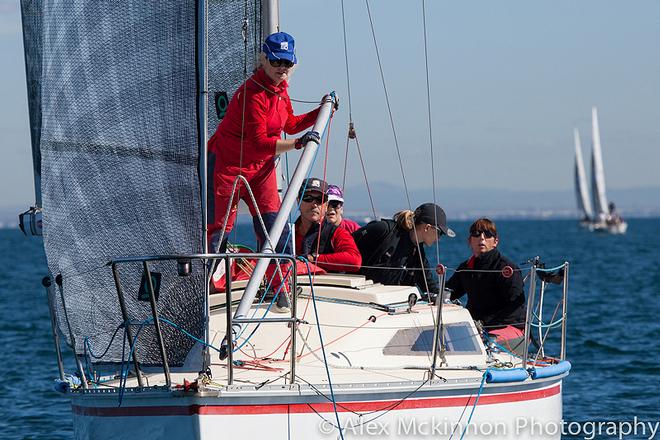 Raring to go on Up ‘n Go. - 2015 PPWCS ©  Alex McKinnon Photography http://www.alexmckinnonphotography.com