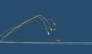 Position photo copyright Yann Riou / Dongfeng Race Team taken at  and featuring the  class