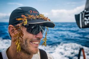 Team Alvimedica - Volvo Ocean Race 2015 photo copyright  Amory Ross / Team Alvimedica taken at  and featuring the  class