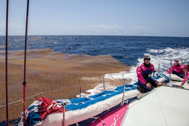 Onboard Team SCA - Volvo Ocean Race 2015 © Corinna Halloran / Team SCA