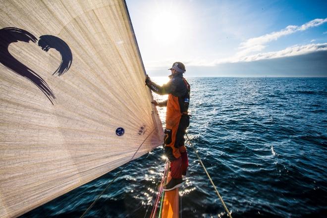 Team Alvimedica - Volvo Ocean Race 2015 ©  Amory Ross / Team Alvimedica