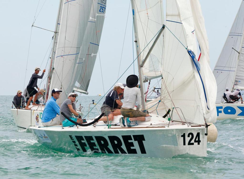 Top of the Gulf Regatta 2015 © Guy Nowell/Top of the Gulf