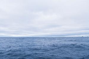 Leg 7 to Lisbon onboard Team SCA. Day 2. Abu Dhabi Ocean Racing,Dongfeng Race Team,and MAPFRE sailing in the distance,the whole fleet in still within sight of one another. photo copyright Anna-Lena Elled/Team SCA taken at  and featuring the  class