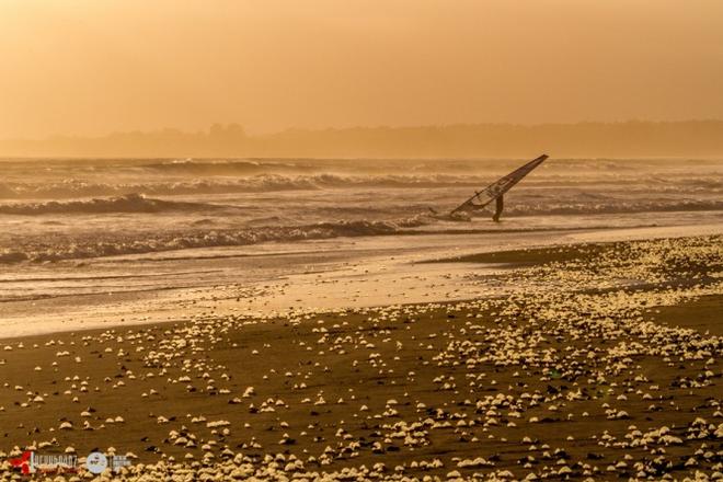 Jelly launch - 2015 Santa Cruz Windsurfing Festival © American Windsurfing Tour