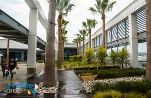 Long Beach Airport, feeling like your are already on the Islands - 2015 Transpac photo copyright pressure-drop.us taken at  and featuring the  class