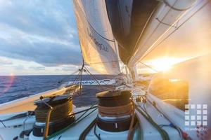 End of run celebrations - Lending Club 2 - Course record attempt - Long Beach to Honolulu - July 2015 photo copyright .... taken at  and featuring the  class