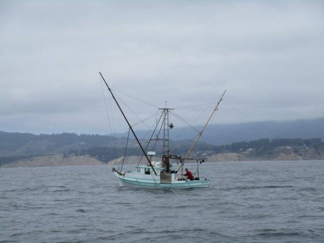 Combining assets for better sailing events - 2015 Drakes Bay Race © Sarah Cherif Gambin and Mark Dowdy