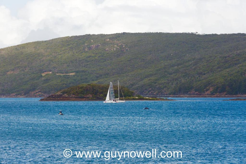 Whales to starboard! Concours d'Elegance, Audi Hamilton Island Raceweek 2015 © Guy Nowell http://www.guynowell.com
