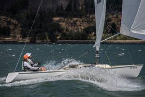 Jack chases Rufless - 2015 Double Damned photo copyright Sparky the Whaler taken at  and featuring the  class