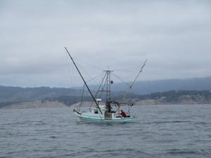 Combining assets for better sailing events - 2015 Drakes Bay Race photo copyright Sarah Cherif Gambin and Mark Dowdy taken at  and featuring the  class