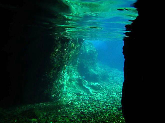 The afternoon sunlight illuminates the underwater flora and fauna of Norman Island © Karen E. Lile