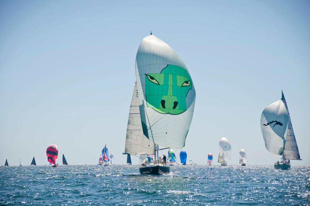 The Around the Island Race fleet heading downwind toward the finish on the west side of Conanicut Island. © Cate Brown