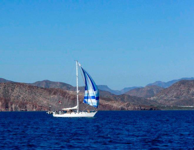 Falcon VII under spinnaker sail. - Living in the moment © Tricia and Jim Bowen