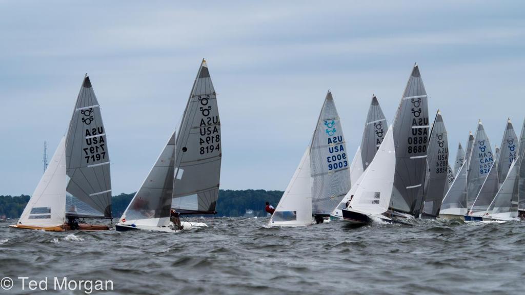 The fleet in its hallmark “gate start” on the final day of racing. © Ted Morgan