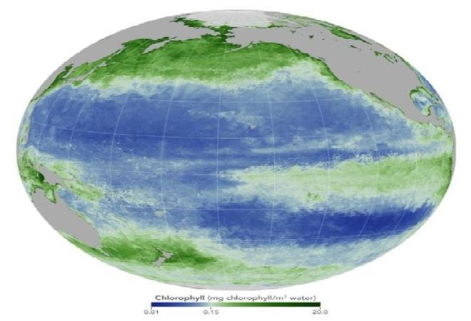 Acquired October 1 - 20, 2015 © NASA Earth Observatory