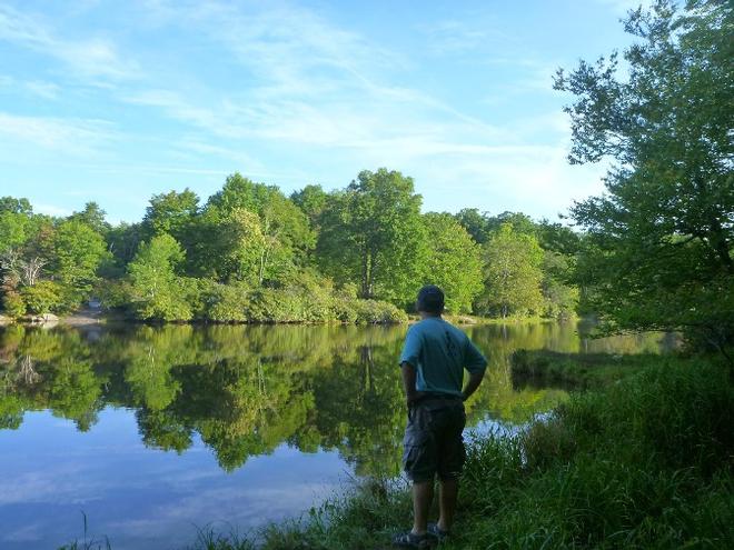 Pisgah Mountain campground © SV Taipan