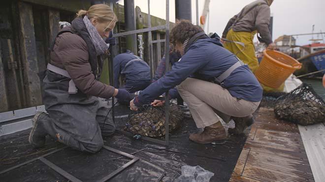 Dr Joanne Preston with Land Rover BAR's Sustainability Manager, Dr Susie Tomson ©  Harry KH / Land Rover BAR