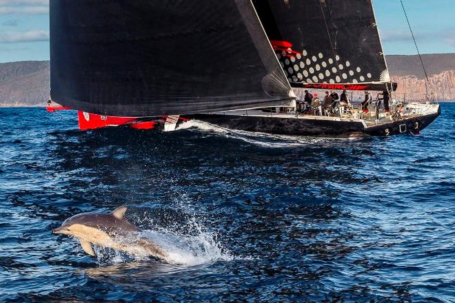 Comanche (USA) approaching Tasmania to claim line honours - 2015 Rolex Sydney Hobart Yacht Race © Rolex / StudioBorlenghi / Stefano Gattini