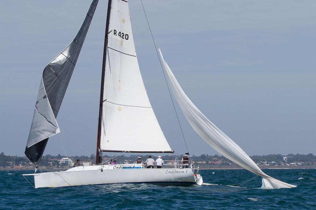 Cadibarra 8 went looking for krill and may have got whiting too! - Club Marine Series Round Three photo copyright  Alex McKinnon Photography http://www.alexmckinnonphotography.com taken at  and featuring the  class