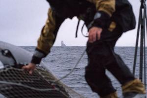 Travelling companions in the Pacific Ocean - 2015 Jules Verne Trophy photo copyright Yann Riou / Spindrift racing taken at  and featuring the  class