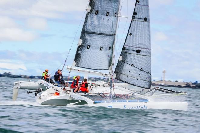 Bare Essentials - 2016 Festival of Sails © Saltwater Images