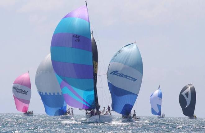 Fleet in action © Federación Mexicana de Vela Cup