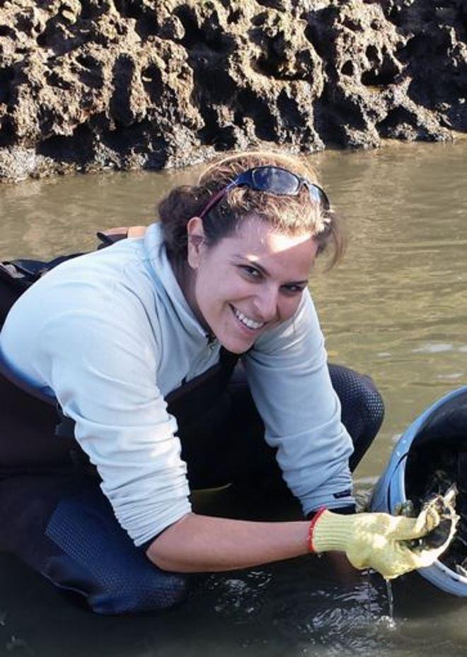 Warmer water temperatures are fueling an increase in algae growth, said Jennie Rheuban, a research associate at WHOI and lead author of the paper published in the journal Biogeosciences. © Kirsten Karplus