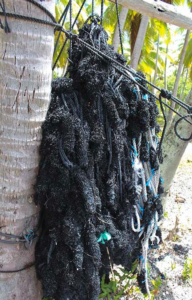 Plastic Pearling nets are ugly and an environmental nightmare to dispose © Annika Fredriksson