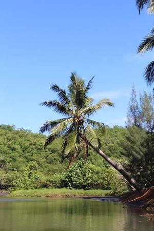Daniels Bay Paradise photo copyright Annika Fredriksson taken at  and featuring the  class