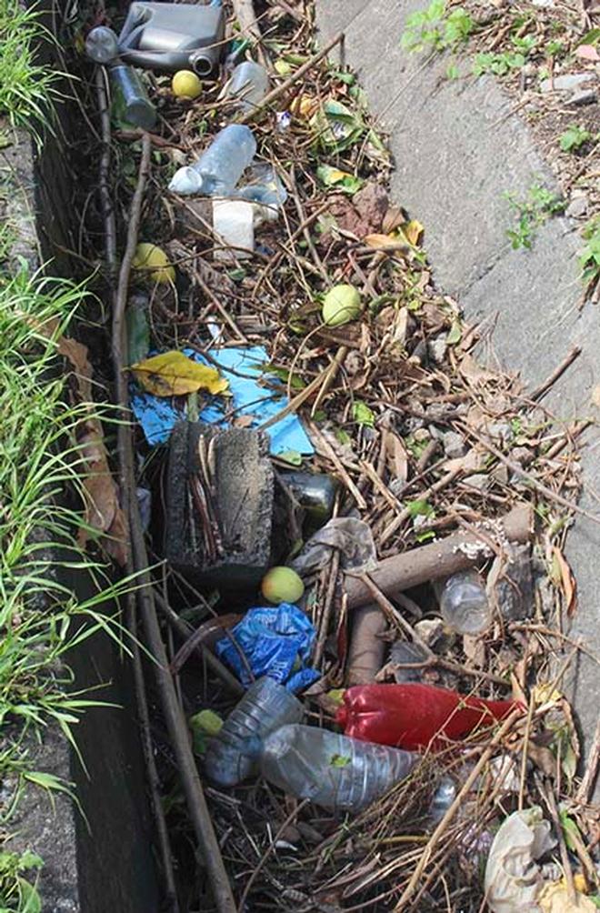 Debris in gutters © Annika Thomson