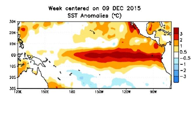 Weekly El Niño-region ocean temperatures through the week of February 24 © NOAA