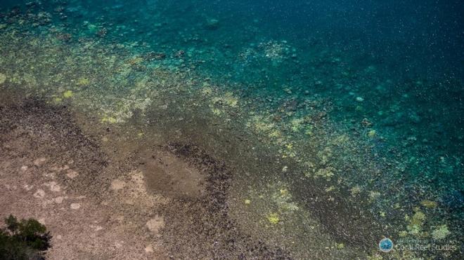 Extensive coral bleaching (white/yellow patches) documented on the Great Barrier Reef during aerial surveys in March 2016 © ARC Centre of Excellence for Coral Reef Studies