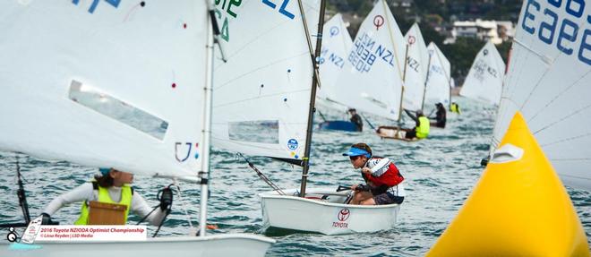  - Day 3, 2016 Toyota Optimist NZ Nationals, Kohimaramara Yacht Club © Lissa Reyden