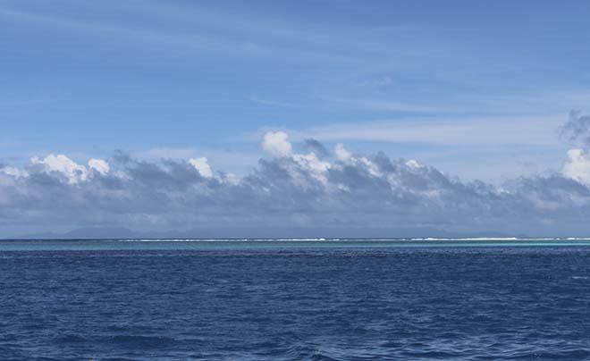 Inside the reef © Annika Fredriksson / Ocean Crusaders