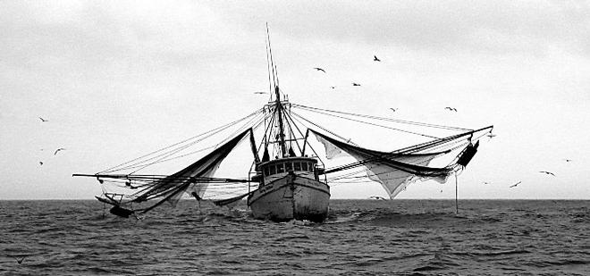 One of the many local shrimp boats © SV Taipan