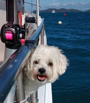 That brilliant fisherman, Tosh. photo copyright Event Media taken at  and featuring the  class