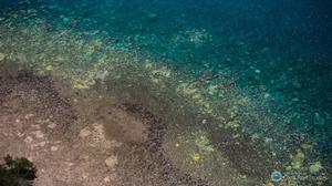 Extensive coral bleaching (white/yellow patches) documented on the Great Barrier Reef during aerial surveys in March 2016 photo copyright ARC Centre of Excellence for Coral Reef Studies taken at  and featuring the  class