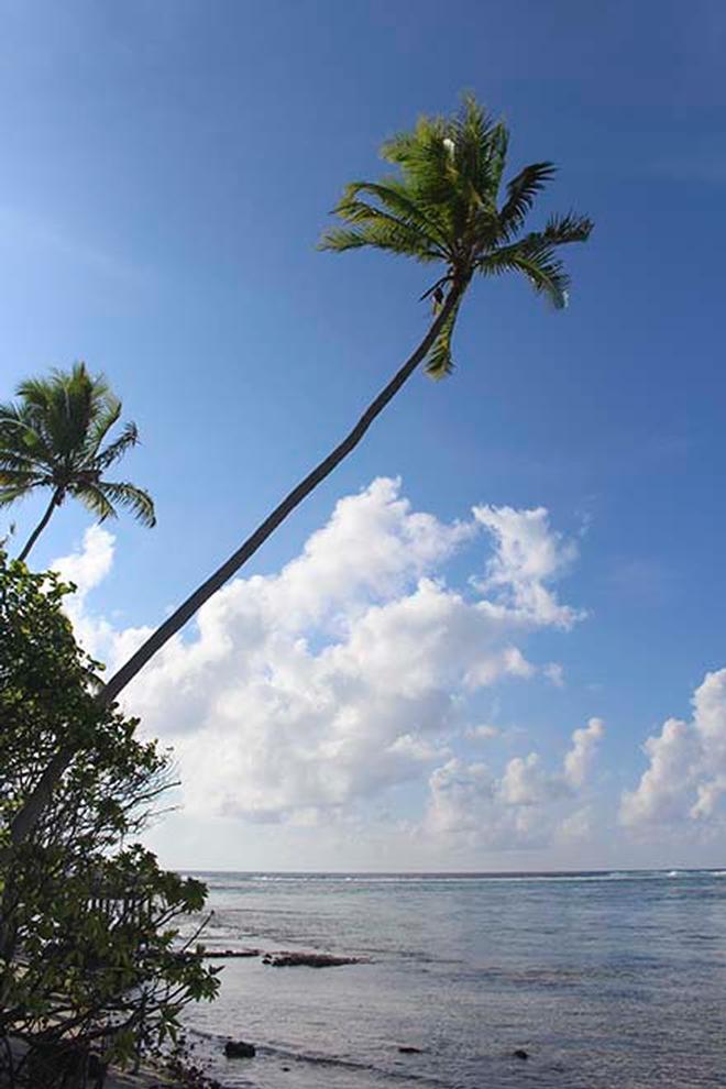 Looks like paradise © Annika Thomson