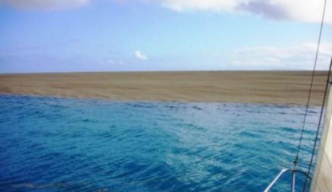 They decided to get a closer look and redirected their yacht towards it. © www.afloat.ie