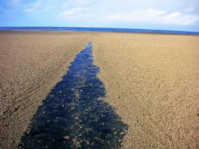 They wondered what could have caused this expanse of stone to suddenly appear. © www.afloat.ie