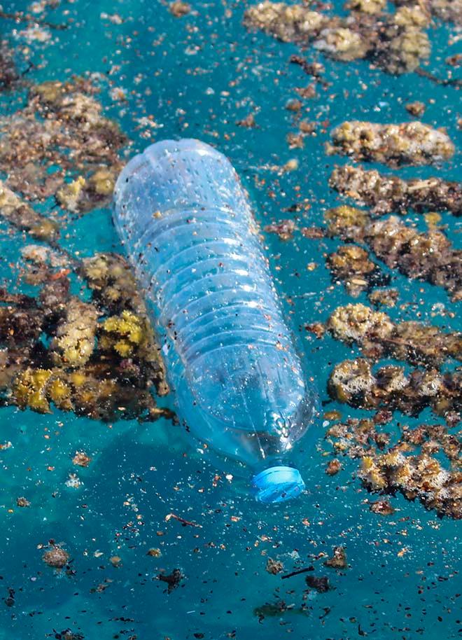 Is this your water bottle? © Annika Thomson