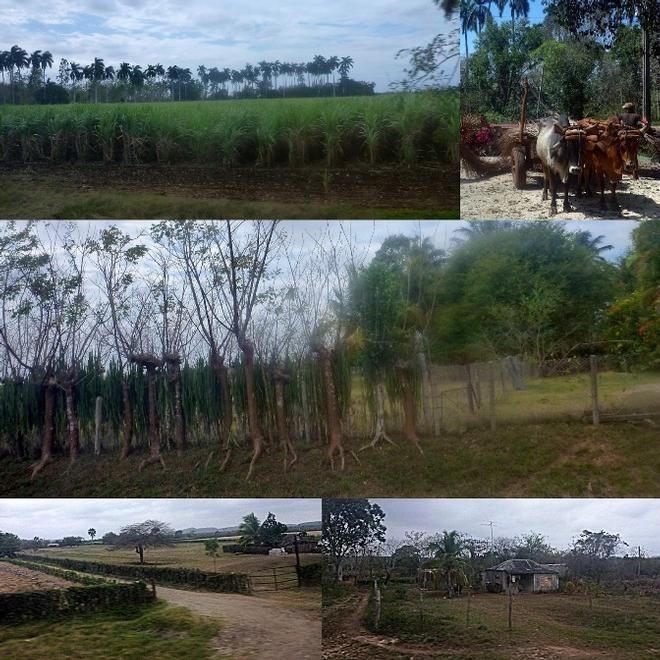 Scenes from the rural areas © SV Taipan