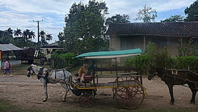 One of the fancy vehicles in the Tourist area © SV Taipan