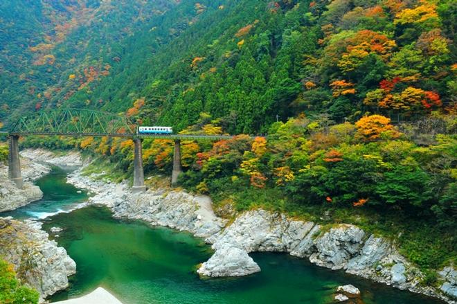 Miyoshi City © The WWA